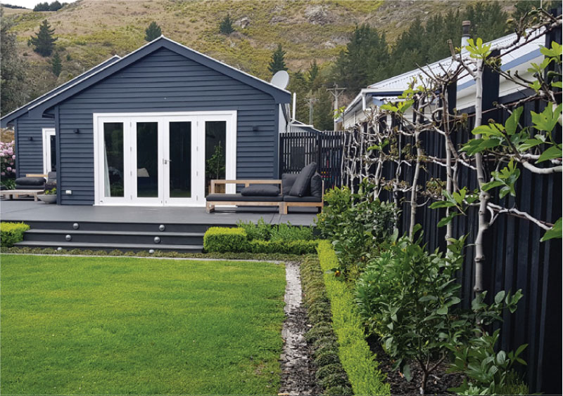 Pleached-hedging-christchurch