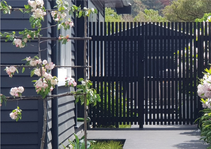 Pleached-hedging