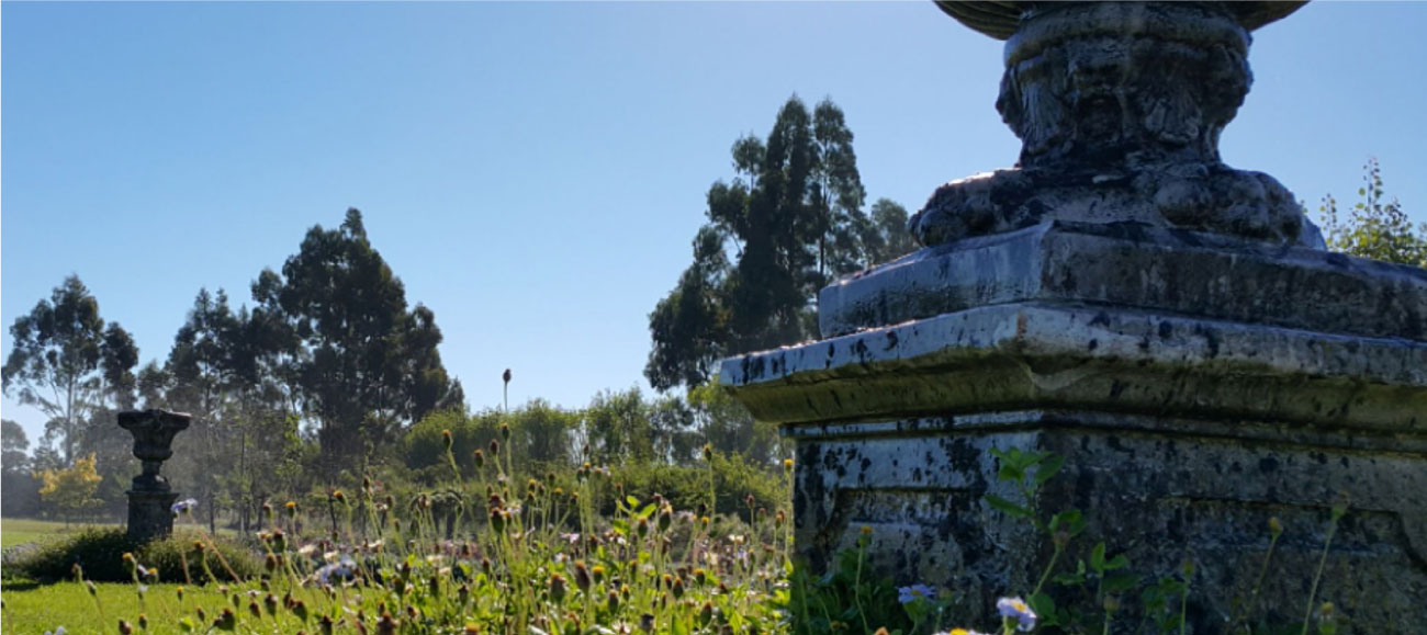 christchurch-landscaping-garden-features-1
