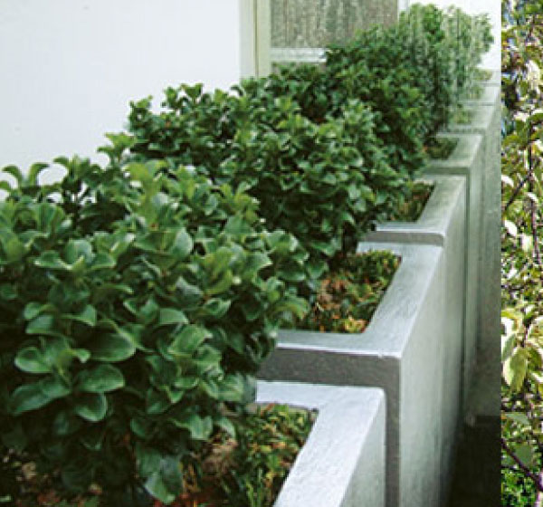 christchurch-landscaping-garden-features-7
