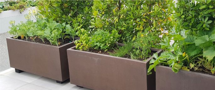 christchurch-landscaping-vegetable-gardens-3
