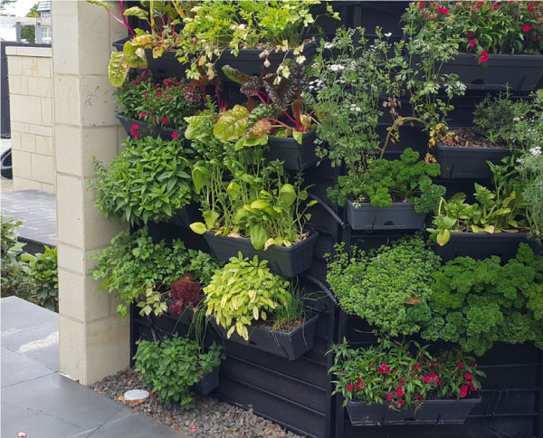 christchurch-landscaping-vegetable-gardens-6