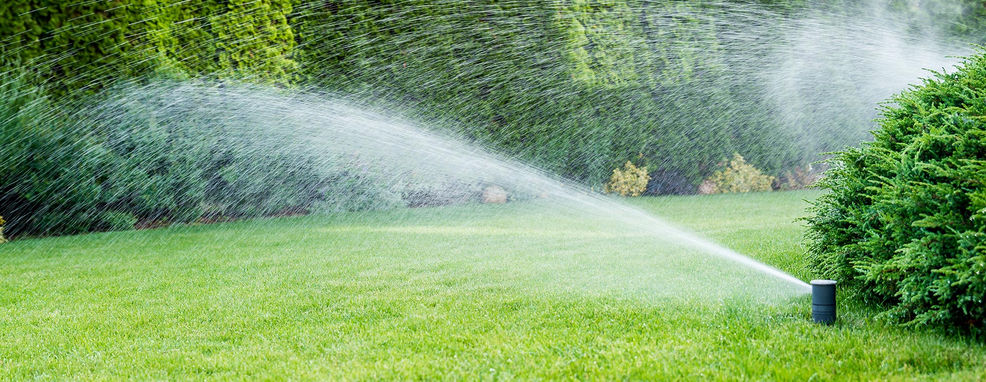 garden-landscaping-and-irrigation-christchurch