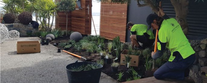 landscaping-company-merivale-christchurch